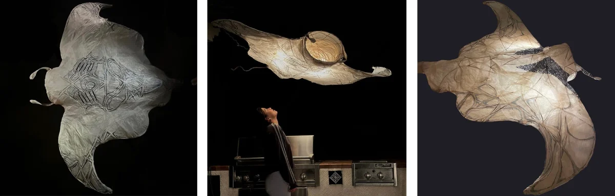 Manta Ray