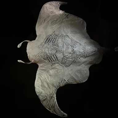 Manta Ray sculpture from above